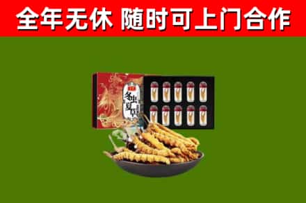 万载回收冬虫夏草价格